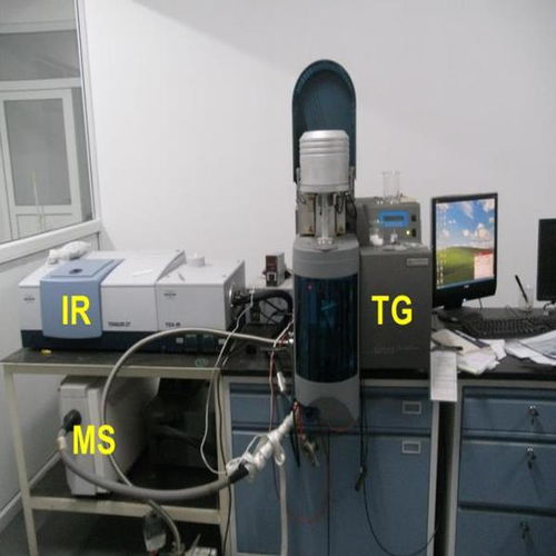 高溫?zé)岱治鰞x電子儀表的工作原理與應(yīng)用